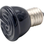 зображення_2024-09-21_154842065